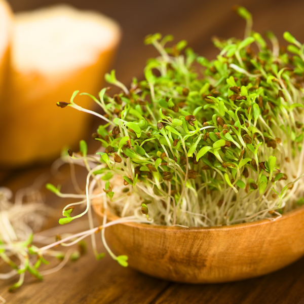 Alfalfa Benefits for Hair: Strengthen Strands from Root to Tip Naturally